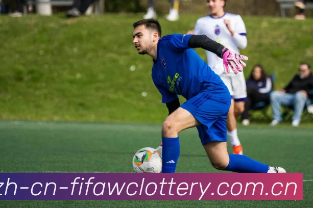 用户